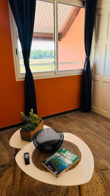 T2 Le Cosy, Au Coeur De Montjoly, Parking, Clim Apartment Remire-Montjoly Luaran gambar